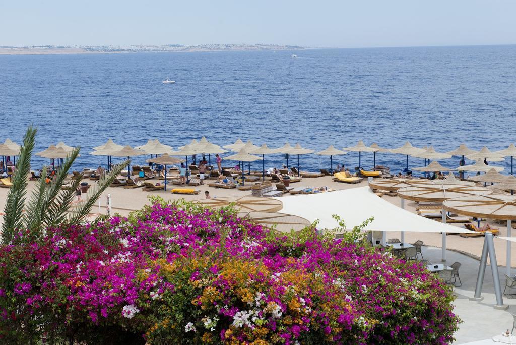 Resort Amphoras Blu Sharm el Sheikh